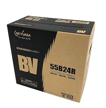 Amazon.co.jp: GS YUASA [ ジーエスユアサ ] 国産車バッテリー